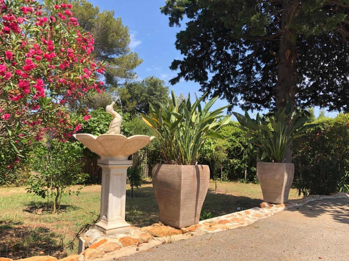 Rez De Du Pébrier * Fréjus
