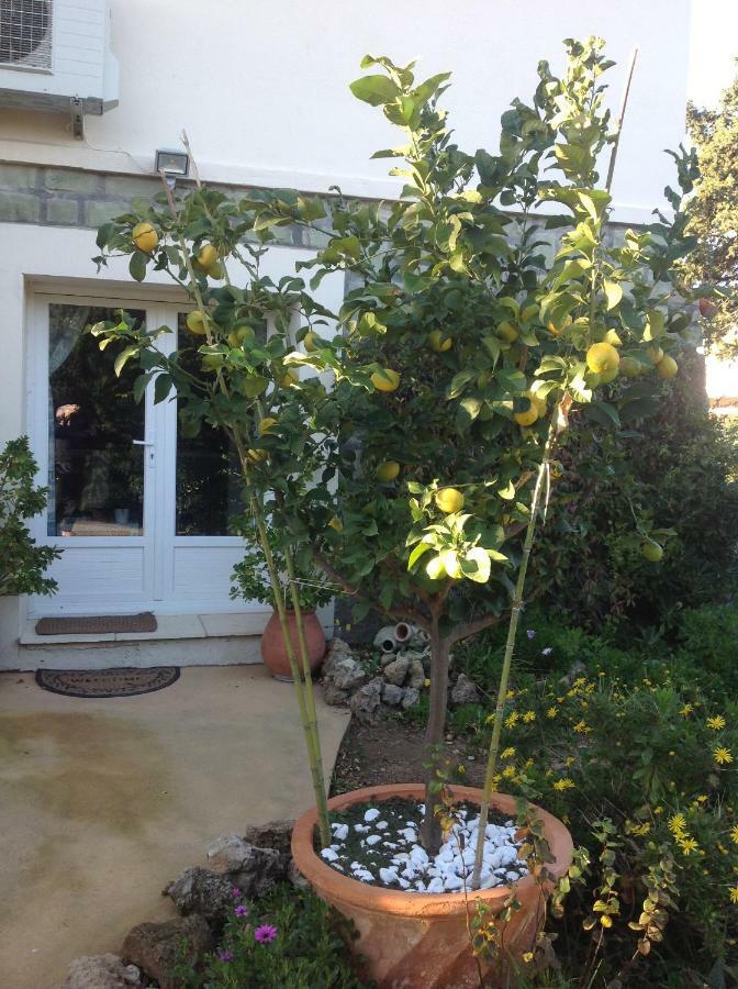 Appartement Rez De Pebrier *